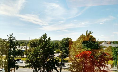 Trees by plants in city against sky