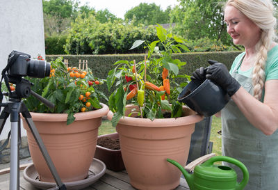 Middle aged woman transplant seedlings of cherry tomatous into a large pot