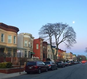Road passing through bare trees