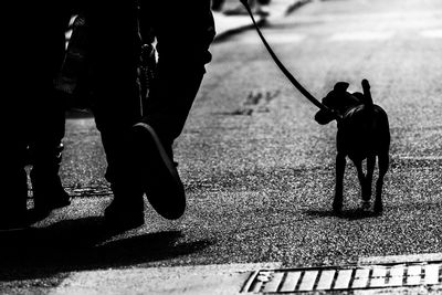 Shadow of woman on road