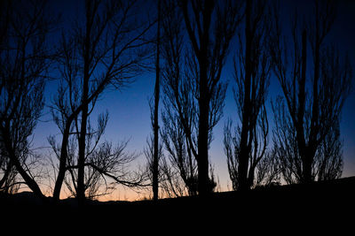 Silhouette of bare trees against sky at sunset