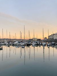 Sailboats in marina at sunset