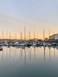 Sailboats in marina at sunset