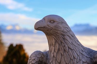 Close-up of a statue