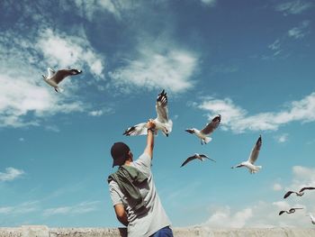 Low angle view of seagulls flying against sky