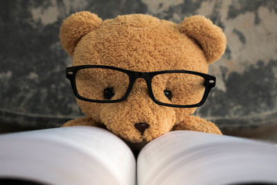 Close-up of teddy bear wearing eyeglasses by book