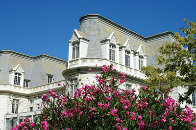 Low angle view of flowering plants by building against sky