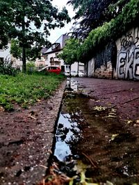 Surface level of wet street in city