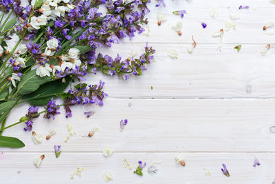 High angle view of purple flowering plants on table