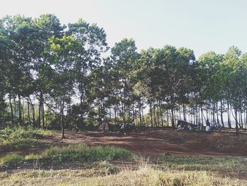 Trees growing on field against sky