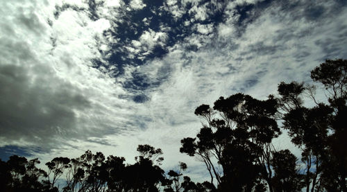 Low angle view of trees against cloudy sky