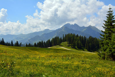 Scenic view of golf course against sky