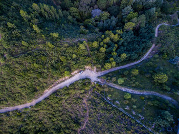 High angle view of road amidst trees in forest