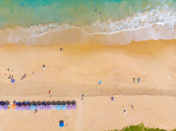 Aerial view of people on beach