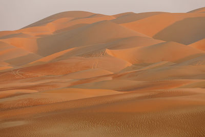 Scenic view of desert