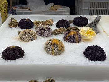 edible mushroom