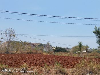 Field against clear sky