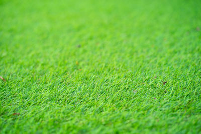 Full frame shot of soccer field