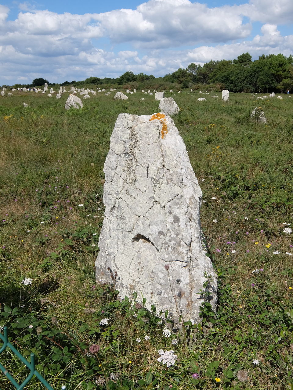 ROCKS ON FIELD