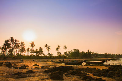 Scenic view of palm trees against sky during sunset