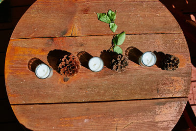 High angle view of potted plant on table