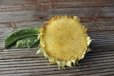 Close-up of yellow flower on wood