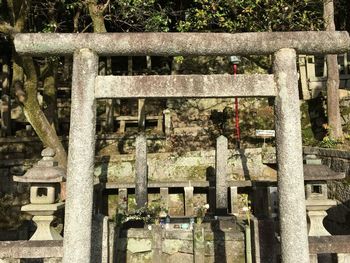 Close-up of old bridge against trees