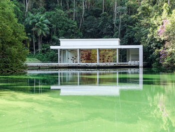 House by swimming pool against trees and plants