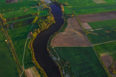 High angle view of agricultural field