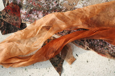 leaf