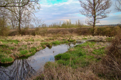 Scenic view of lake against sky