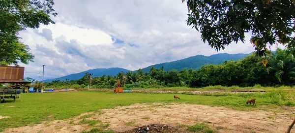 Scenic view of field against sky