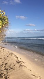 Scenic view of beach against sky