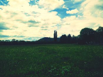 Trees on grassy field against cloudy sky
