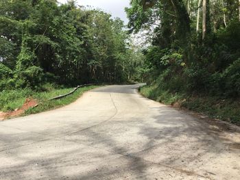 Road amidst trees