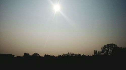 Silhouette of trees at sunset