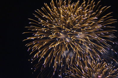 Low angle view of firework display against sky at night