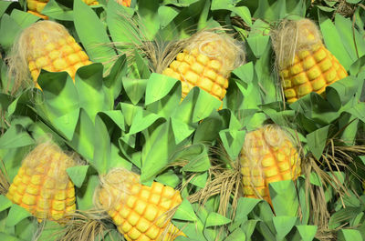 Close-up of vegetables