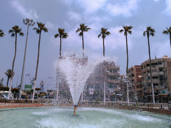 Palm trees by swimming pool against sky