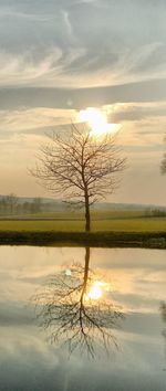 Bare tree by lake against sky during sunset