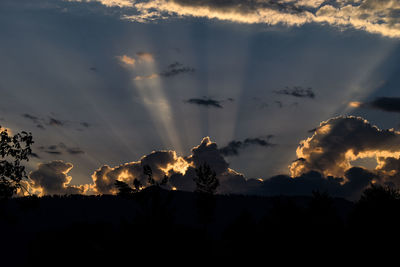 Low angle view of silhouette trees against sky during sunset