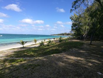 Scenic view of beach against sky