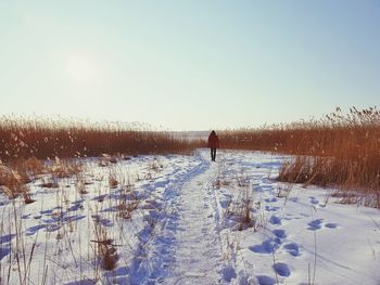 Rear view of man walking on snow field against clear sky