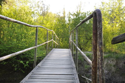 Empty footbridge against trees