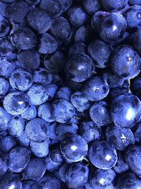 Full frame shot of blueberries