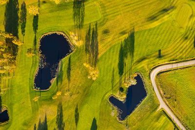 Aerial autumn fall sunny day view of golf course field