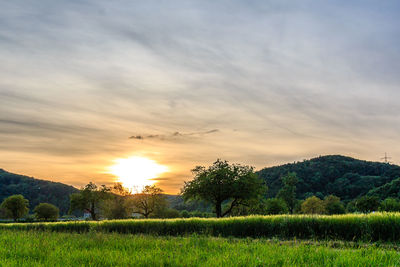 Scenic view of field against sky during sunset