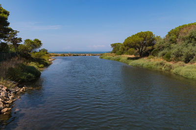 Scenic view of river amidst trees against blue sky