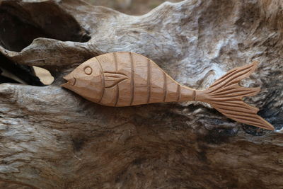 Close-up of lizard on tree trunk