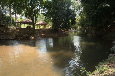 Scenic view of lake in forest